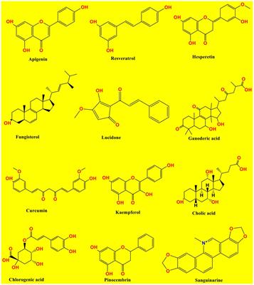 Target specific inhibition of West Nile virus envelope glycoprotein and methyltransferase using phytocompounds: an in silico strategy leveraging molecular docking and dynamics simulation